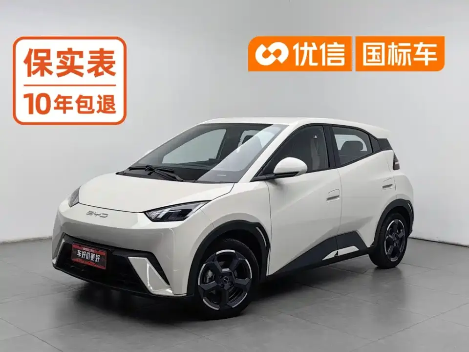 BYD Seagull Freedom Edition 2023