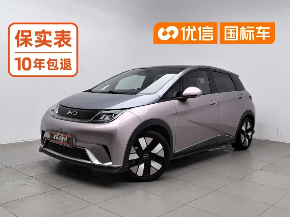 BYD Dolphin 520km Knight Edition 2024
