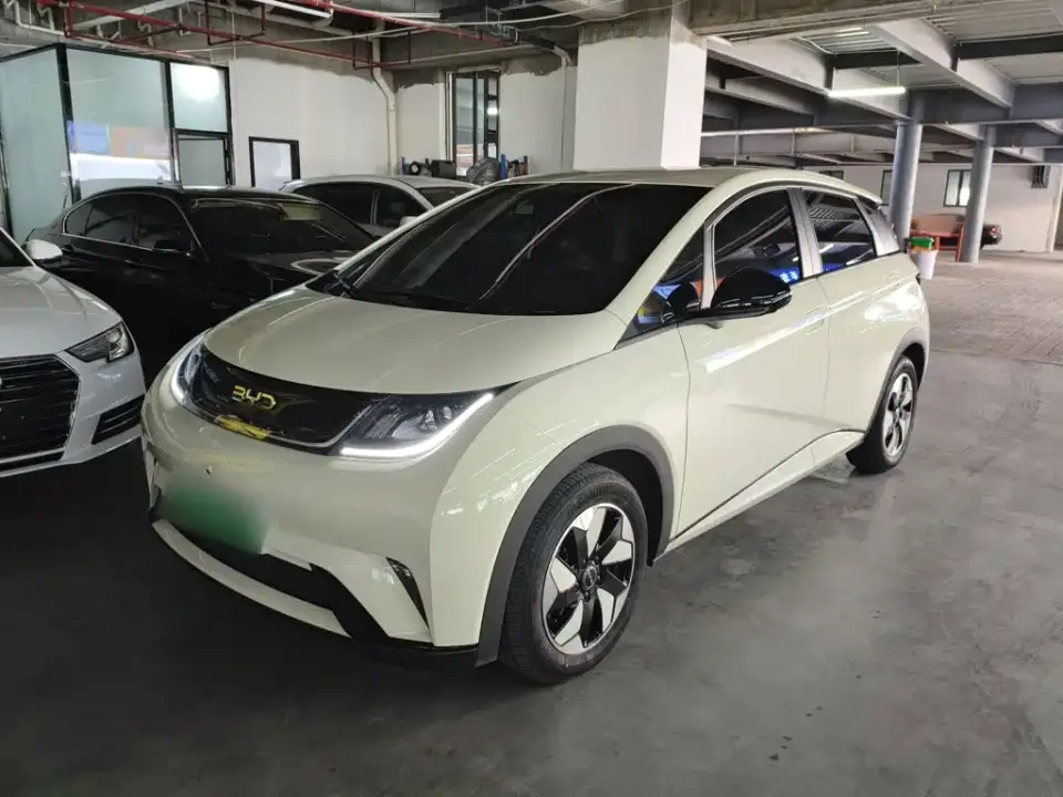 BYD Dolphin 420km Freedom Edition 2025