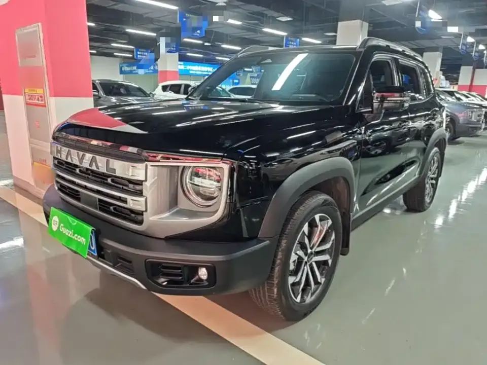 Haval Big Dog 1.5T DCT Border Collie Edition 2024