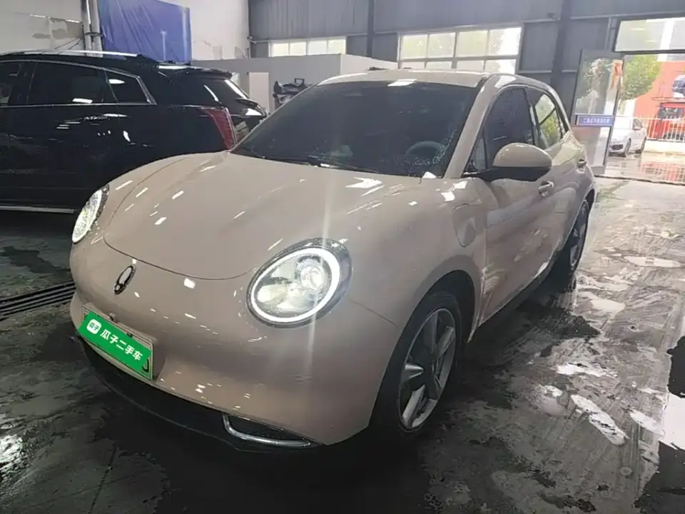 ORA Good Cat 501km Long Range Luxury LFP 2024