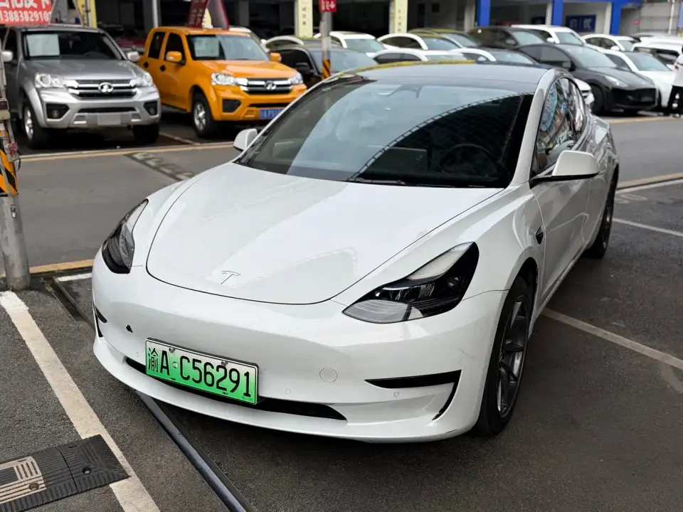Tesla Model 3 Model Rear-Wheel Drive Version 2022