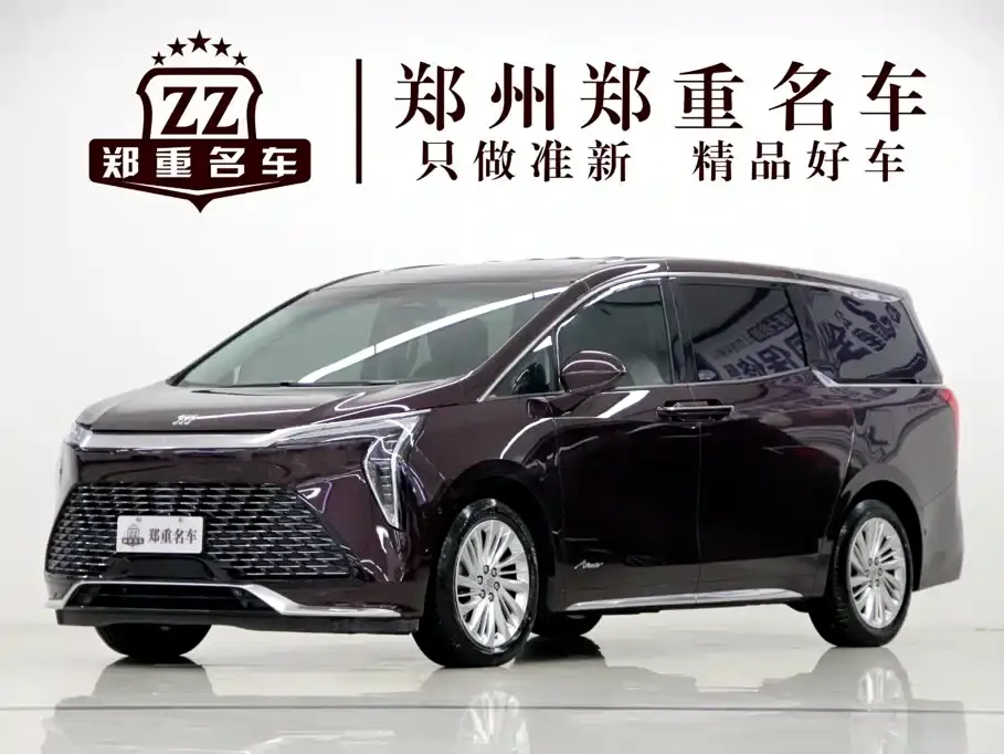 Buick Century 2.0T 7-Seater World Edition 2024