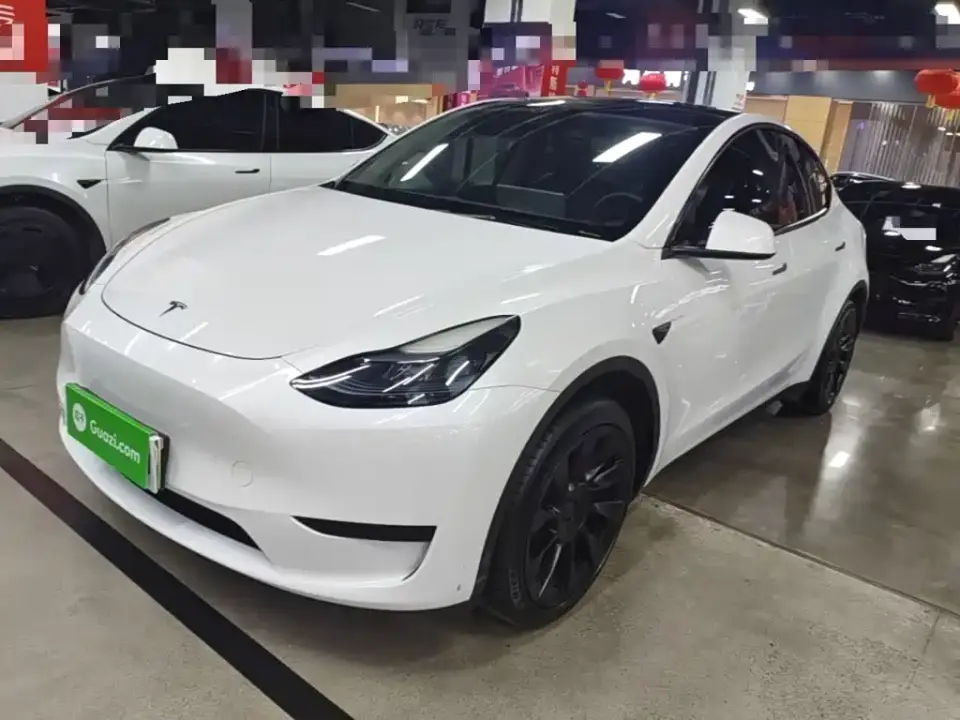 Tesla Model Y Rear-Wheel Drive Version 2024