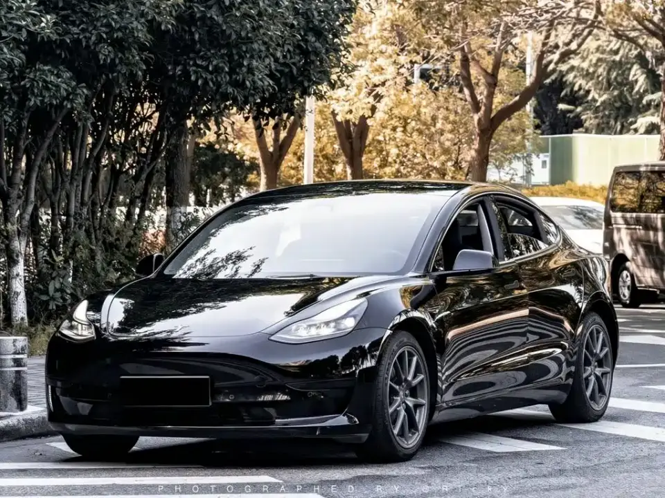 Tesla Model 3 Model Rear-Wheel Drive Version 2022