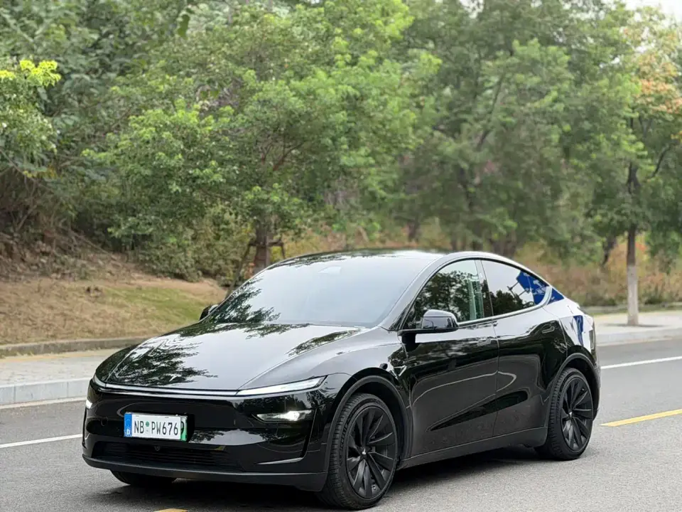 Tesla Model Y Rear-Wheel Drive 2025