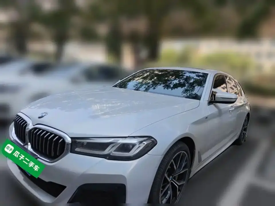 BMW 5 Series 530Li Premium M Sport Package 2021