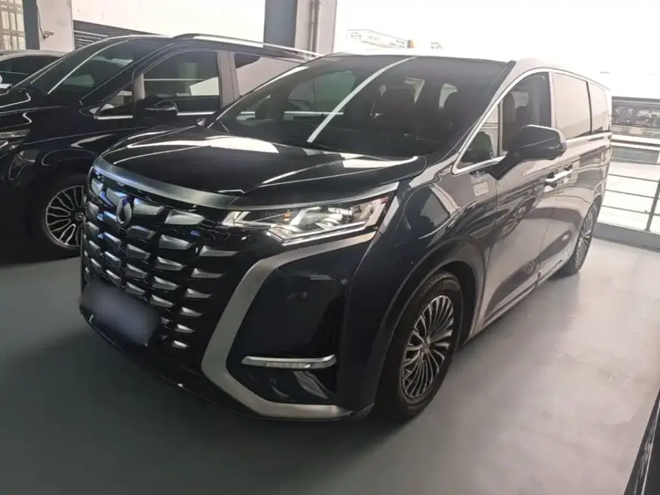 Denza D9 DM-i 1050 Premium 2024