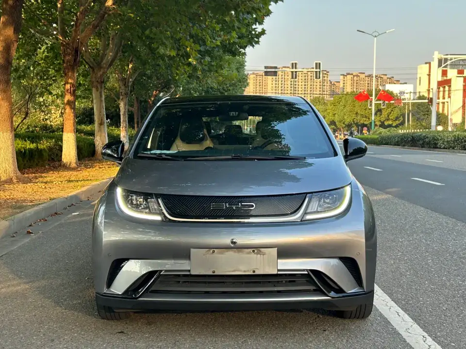BYD Dolphin 420km Fashion Edition 2023