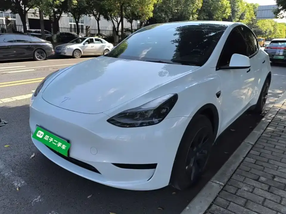 Tesla Model Y Rear-Wheel Drive Version 2024