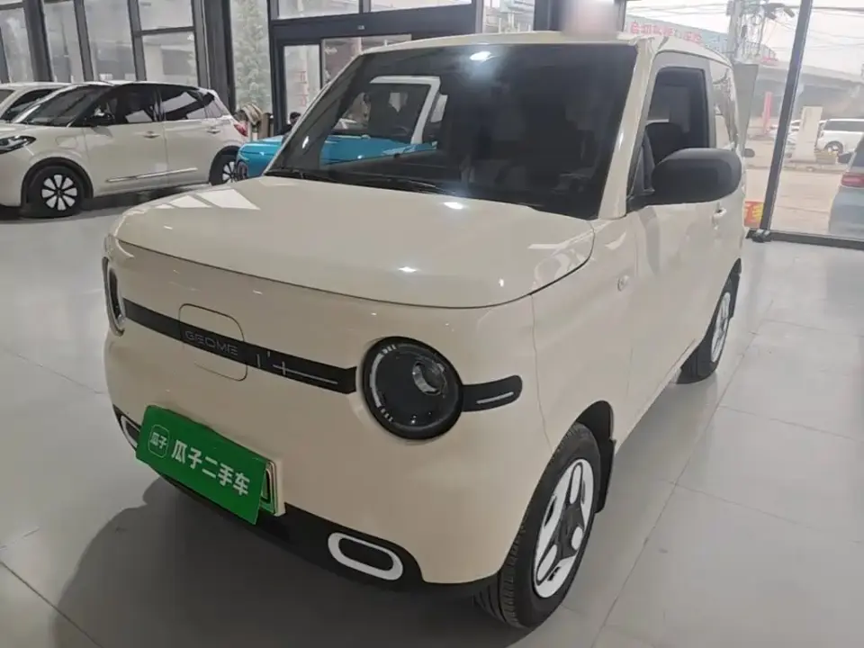 Geely Galaxy Panda Panda mini 210km Vitality Bear 2025