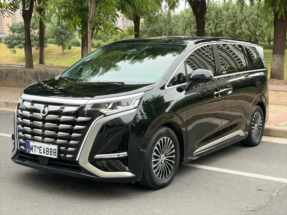 Denza D9 DM-i 980 AWD Prestige 2024