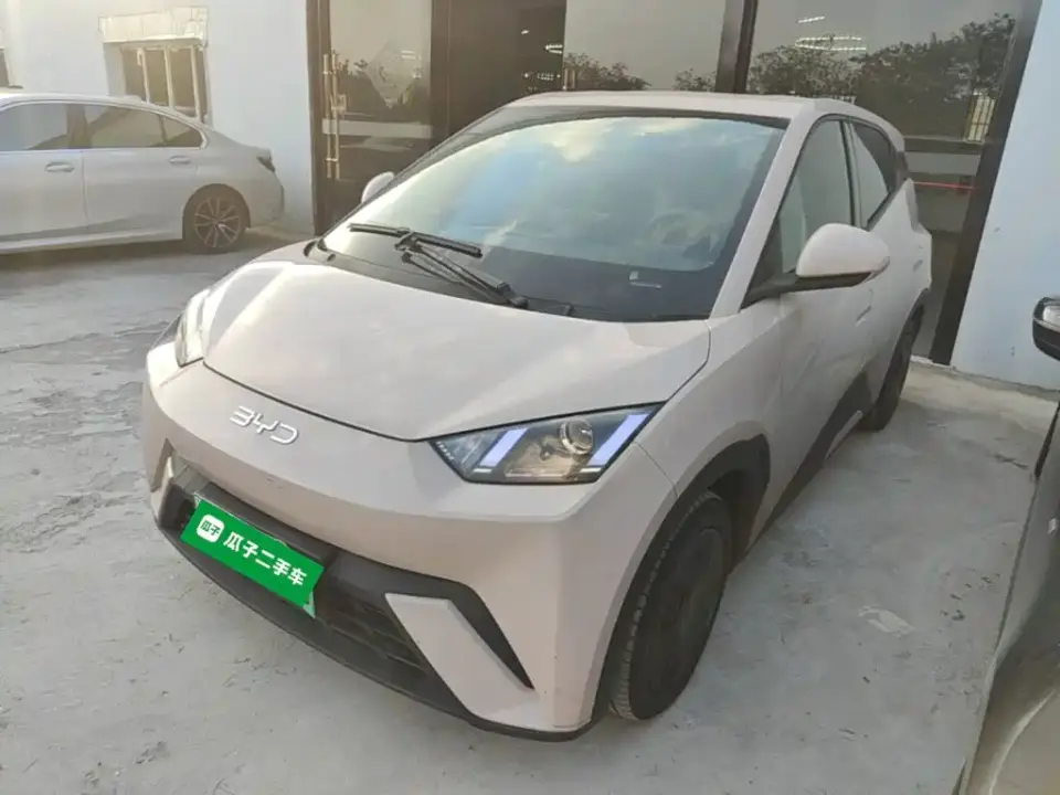 BYD Seagull Glory Edition 305km Vitality Edition 2024