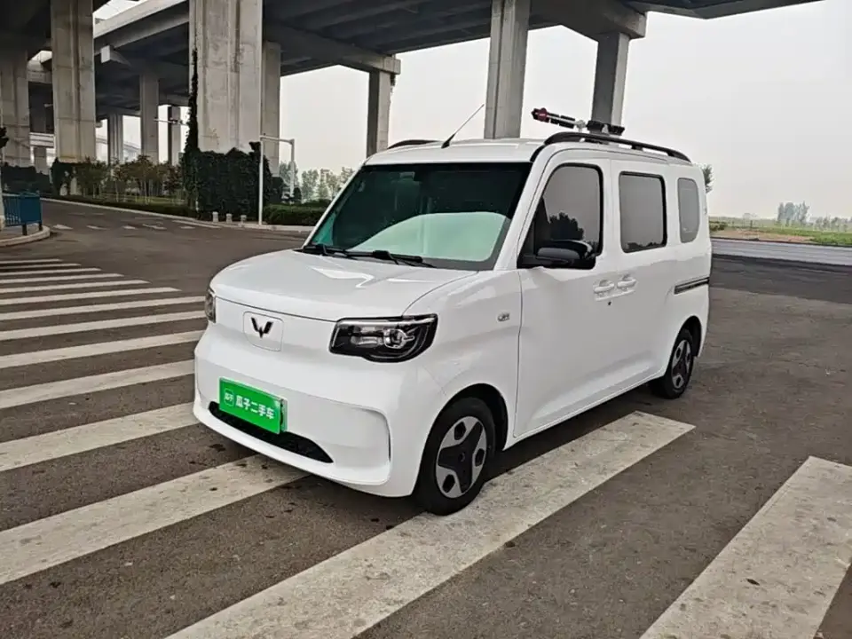 Wuling Motors Wuling Zhiguang NEV Model Comfort 2025