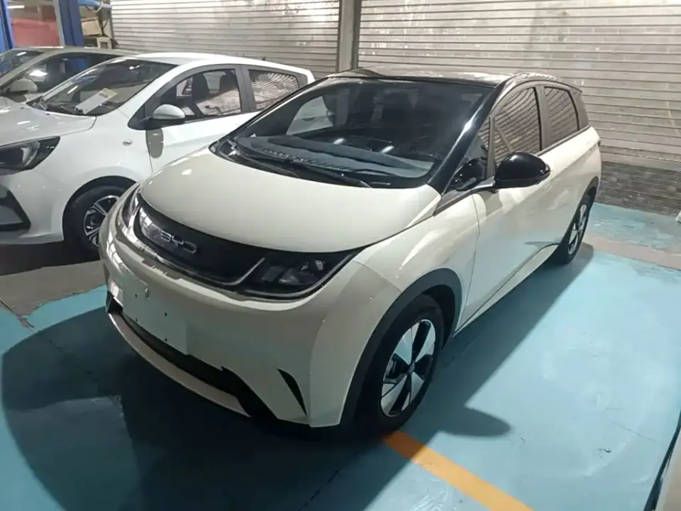 BYD Dolphin 420km Freedom Edition 2023