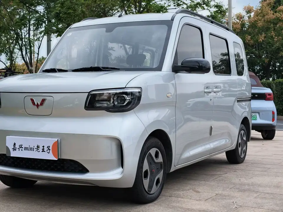 Wuling Motors Wuling Zhiguang NEV Model Comfort 2026