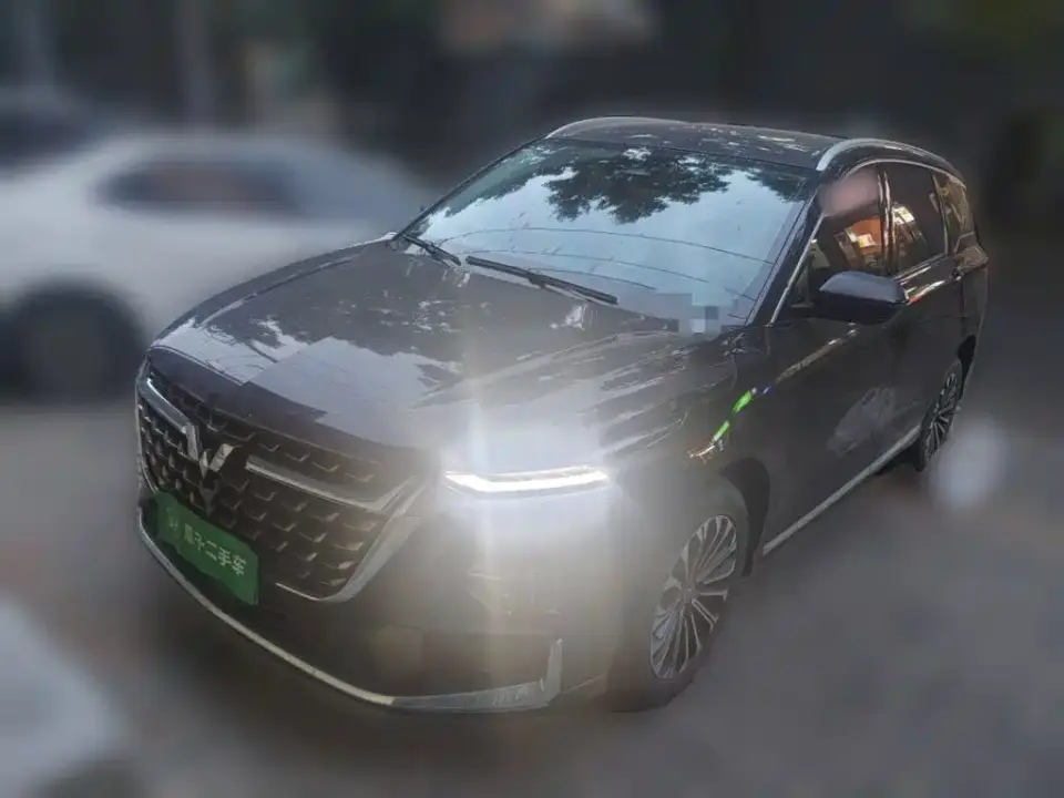 Wuling Motors Wuling Victory 2.0L DHT Luxury Edition 2024