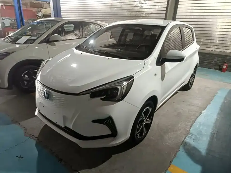 Changan Benben E-Star Heartbeat Edition (NMC Battery) 2021