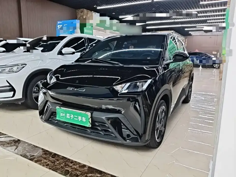 BYD Seagull Freedom Edition 2023