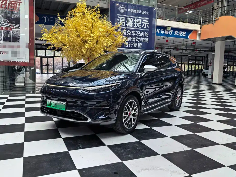 Denza X Pure Electric Classic Edition 2021