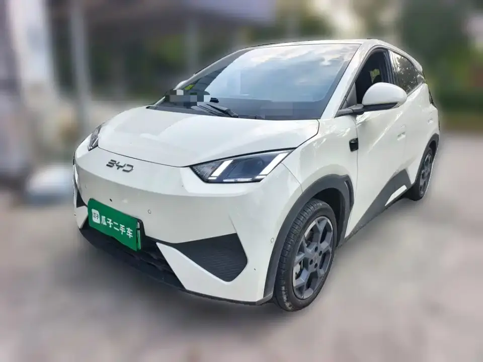 BYD Seagull Smart Driving Edition 405km Flying Edition 2025