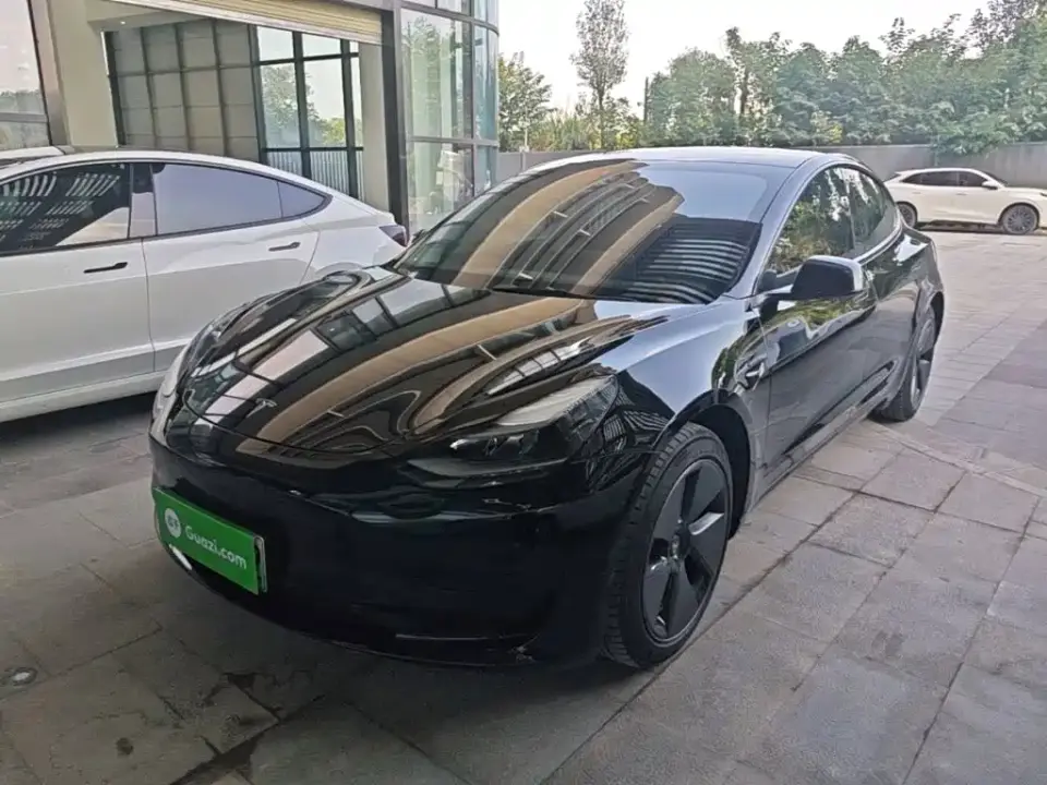 Tesla Model 3 Model Rear-Wheel Drive Version 2022