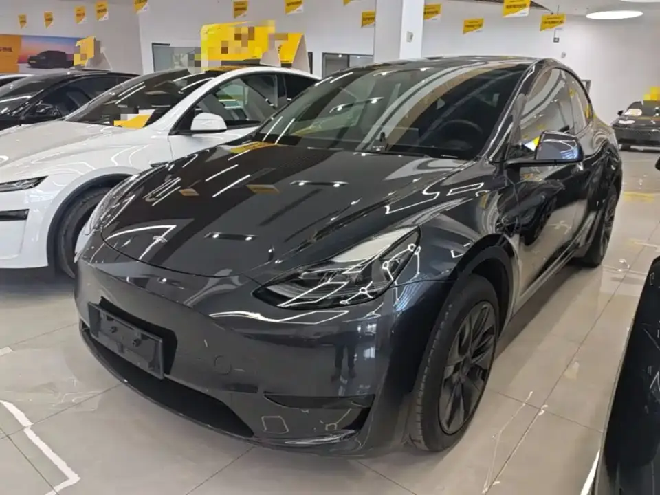 Tesla Model Y Rear-Wheel Drive Version 2024