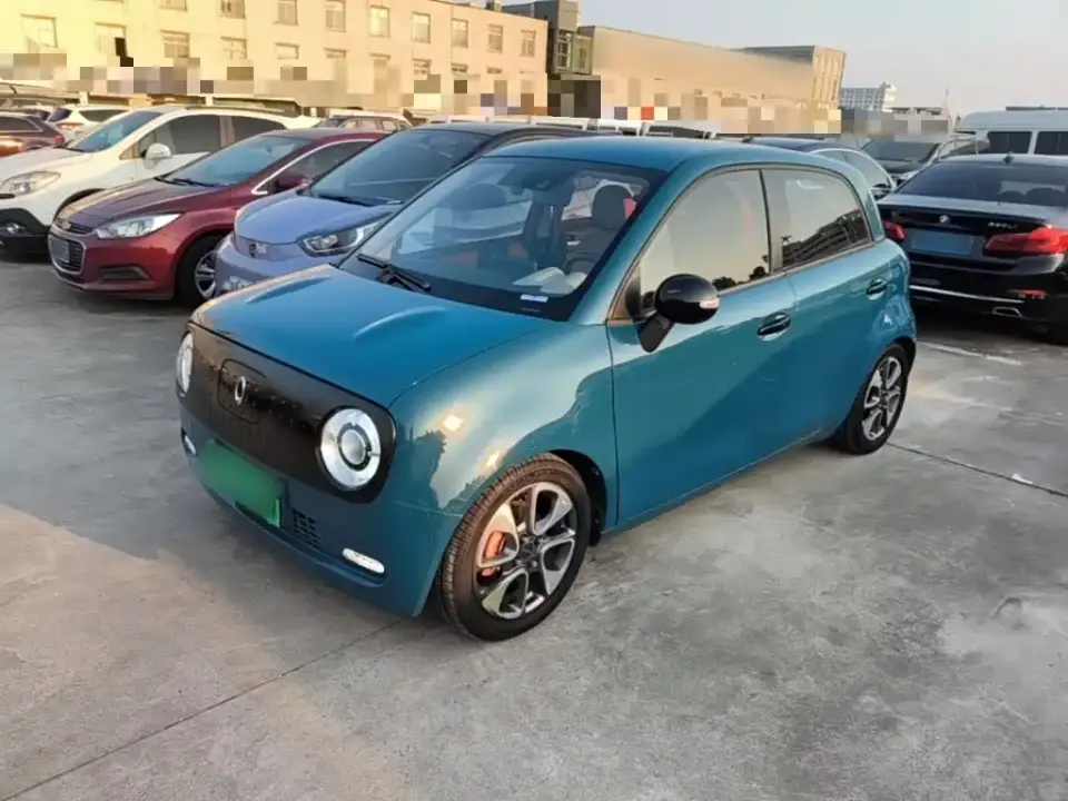 ORA Black Cat 351km Luxury Model 2020