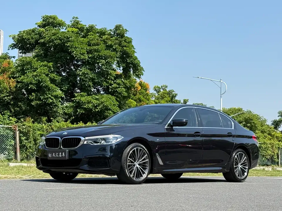 BMW 5 Series Model 530Li xDrive M Sport Package 2020