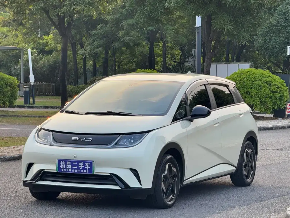 BYD Dolphin 405km Freedom Edition 2022
