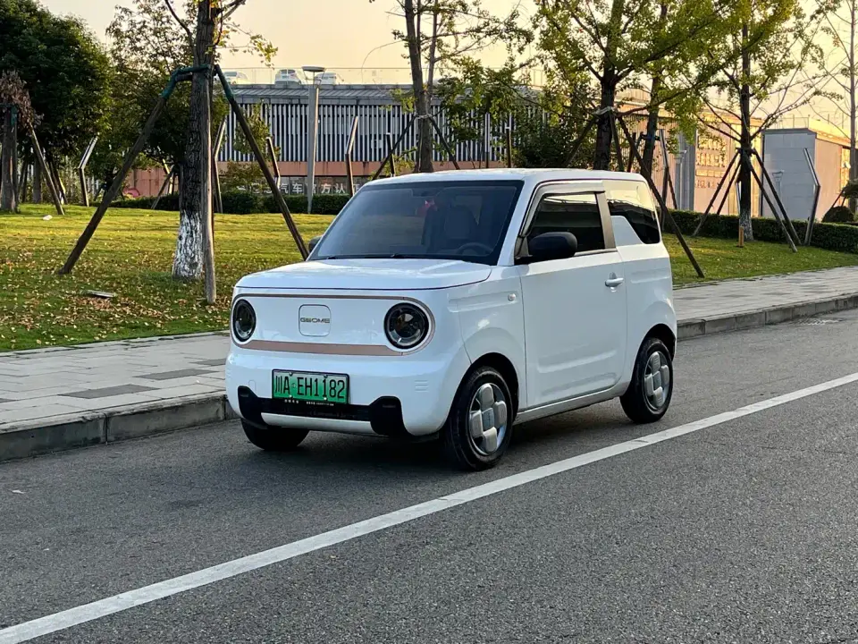 Geely Galaxy Panda Panda mini 200km Endurance Bear 2024