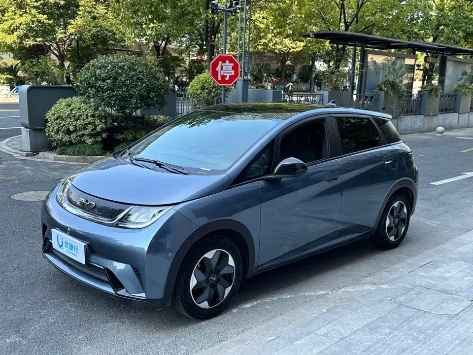 BYD Dolphin Glory Edition 420km Fashion Edition 2024