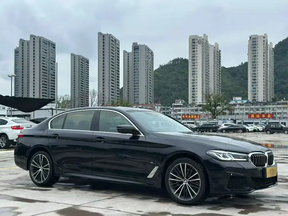 BMW 5 Series 530Li Leading M Sport Package 2021