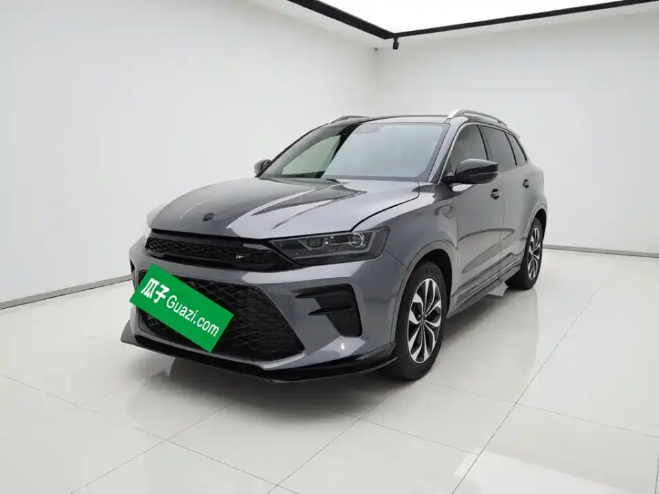 SWM Motor SWM G01 F Edition 1.5T Auto Silver Powder China VI 2019