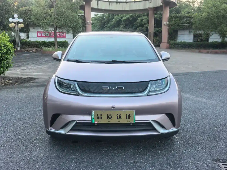 BYD Dolphin 405km Freedom Edition 2023
