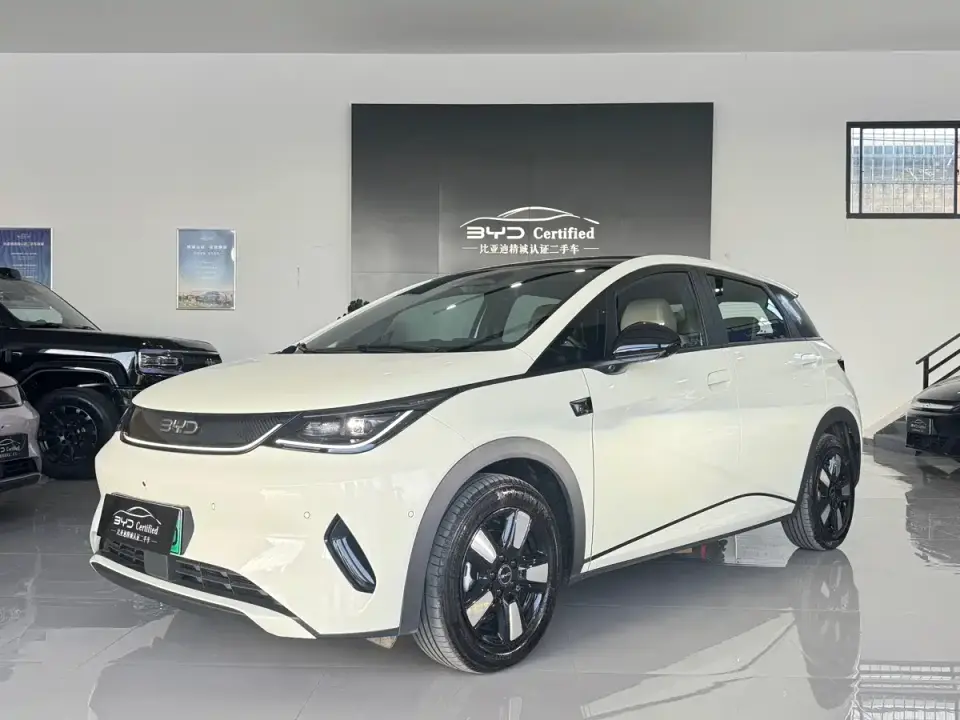 BYD Dolphin Smart Drive Edition 410km Fashion Version 2026