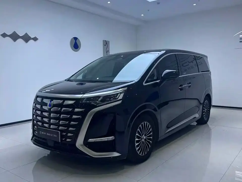Denza D9 DM-i 970 Luxury 2024