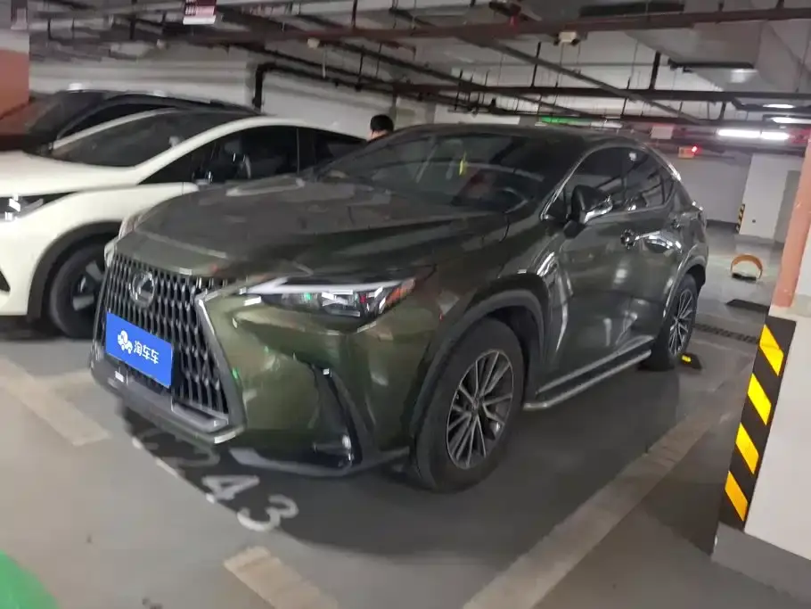 Lexus NX 260 FWD Joy Creation Edition 2022