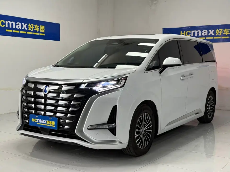 Denza D9 DM-i 980 AWD Premium 2025