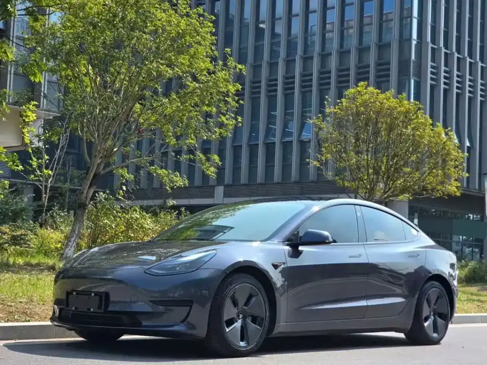 Tesla Model 3 Model Rear-Wheel Drive Version 2022