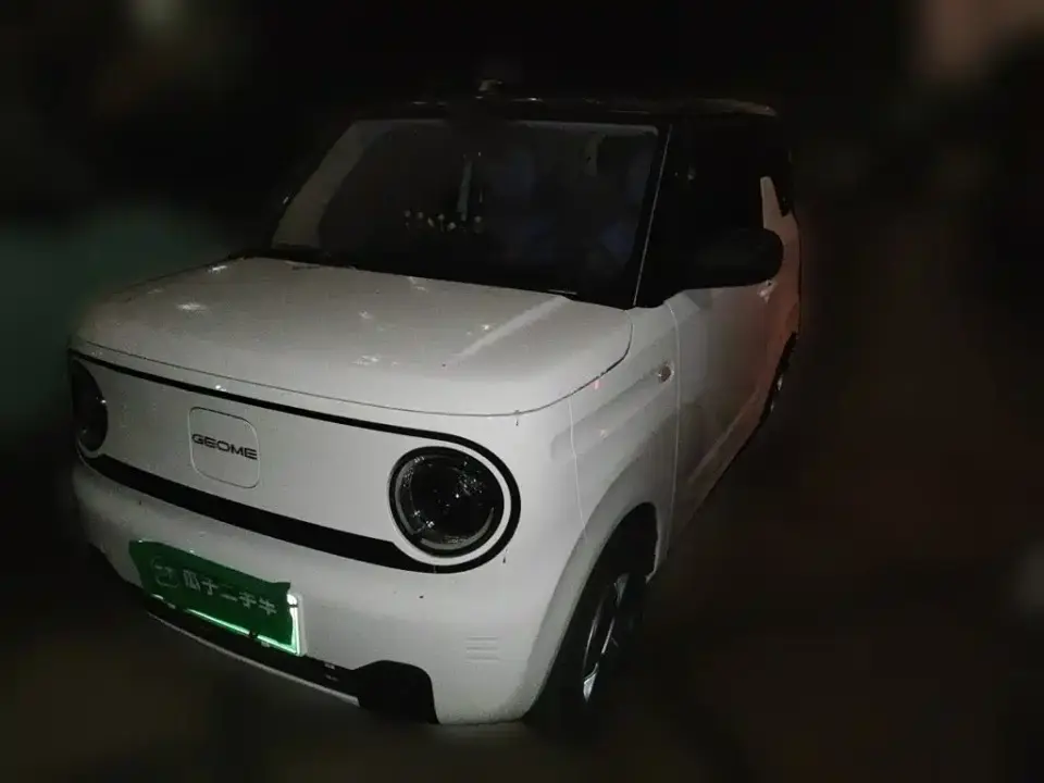 Geely Galaxy Panda Panda Mini 200km Endurance Bear 2023