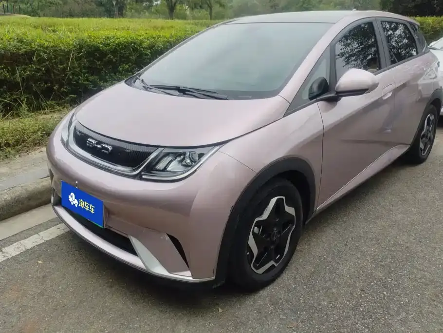 BYD Dolphin Model 405km Fashion Edition 2022