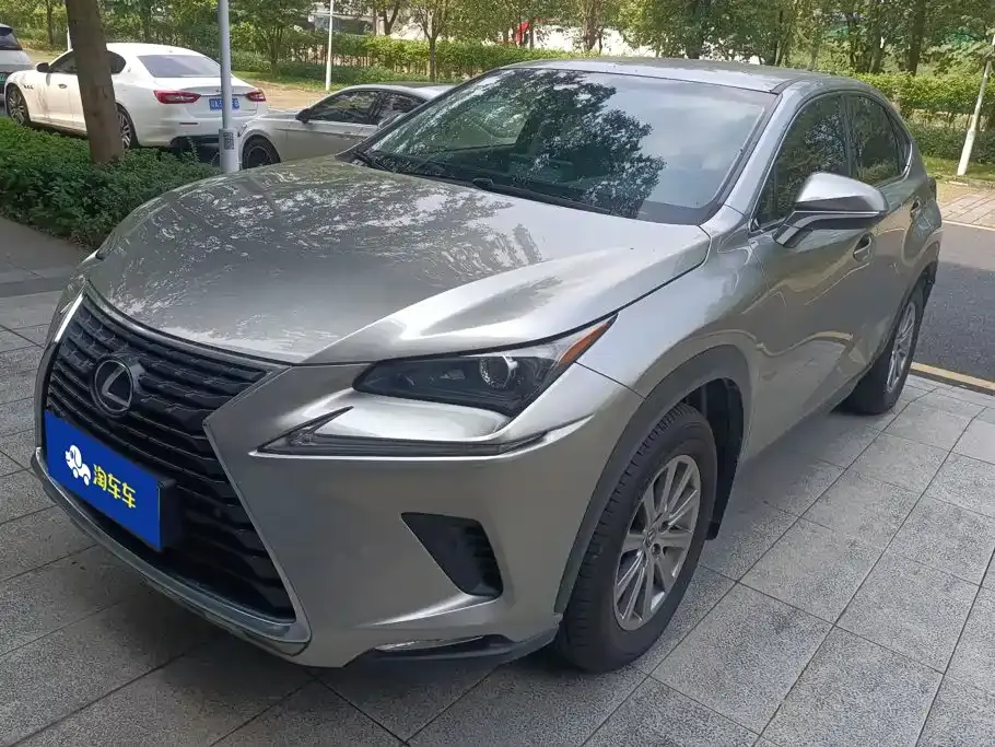 Lexus NX Model 300 FWD Fengxing Edition 2019