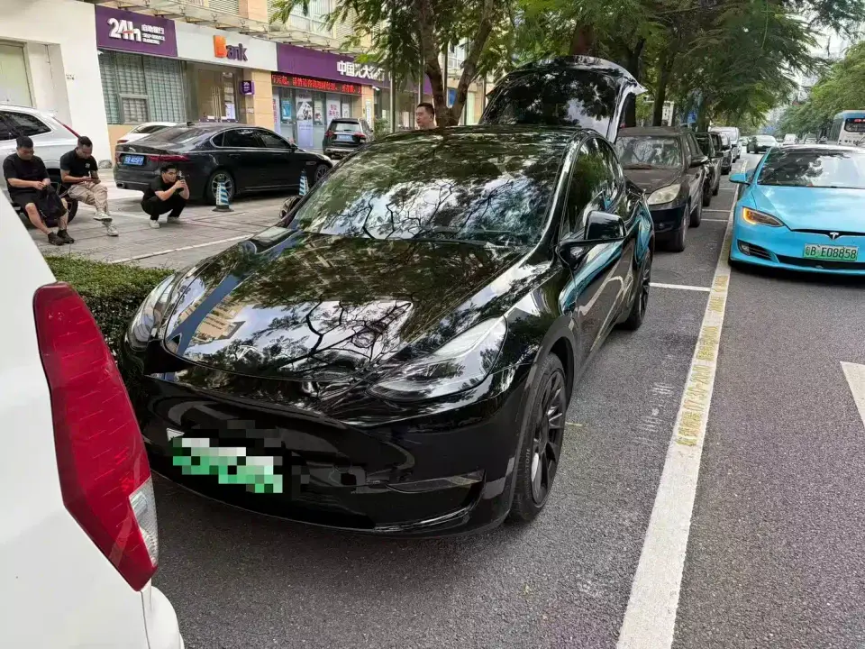 Tesla Model Y Standard Range Rear-Wheel Drive 2021