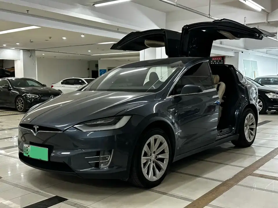 Tesla Model X Long Range Version 2020