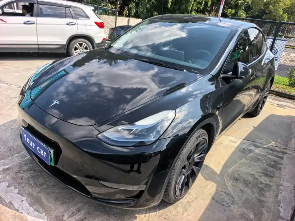 Tesla Model Y Long Range AWD 2022