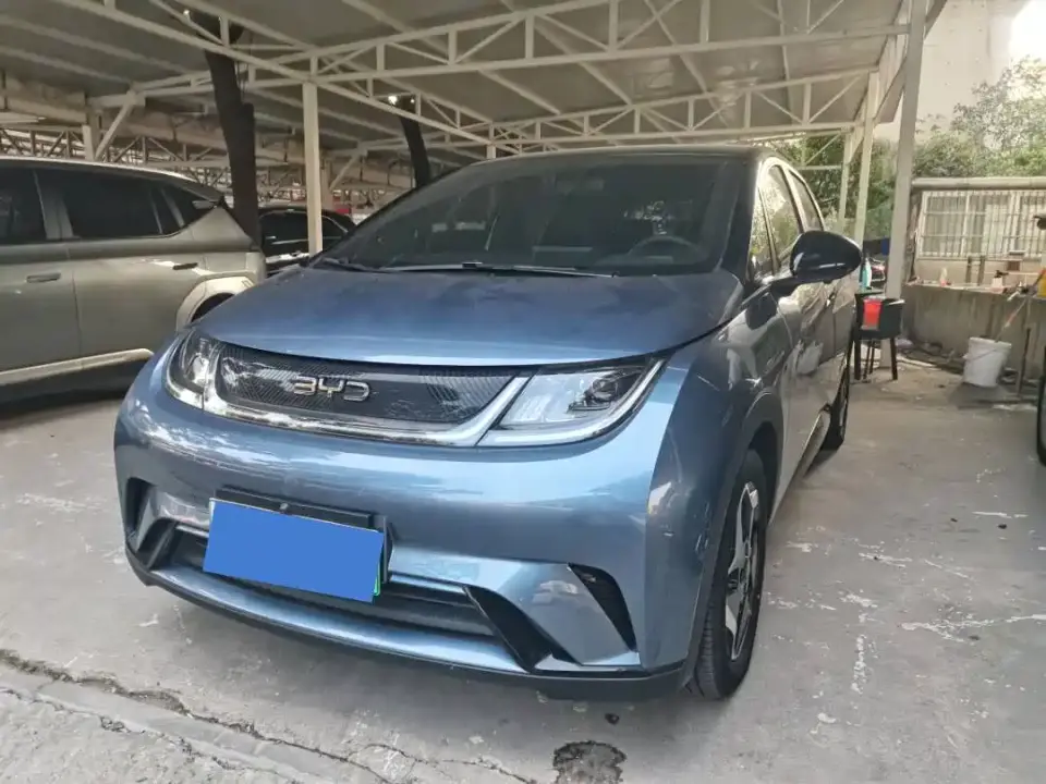 BYD Dolphin Glory Edition 420km Freedom Edition 2024