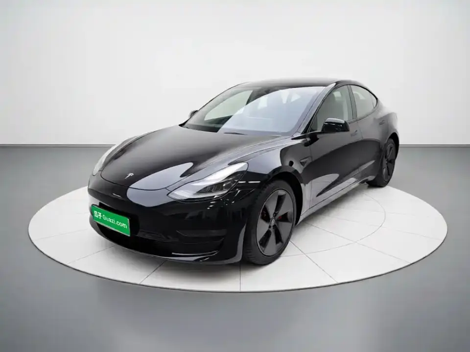 Tesla Model 3 Model Rear-Wheel Drive Version 2023