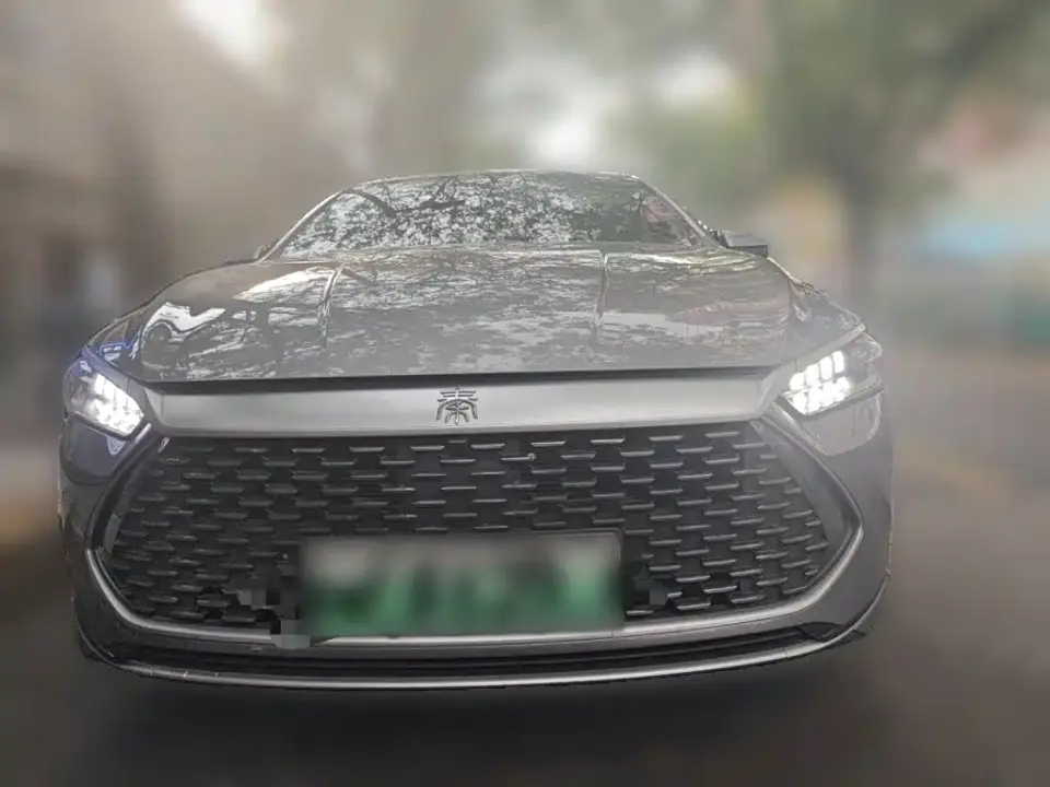 BYD Qin PLUS Glory Edition DM-i 55KM Leading 2024