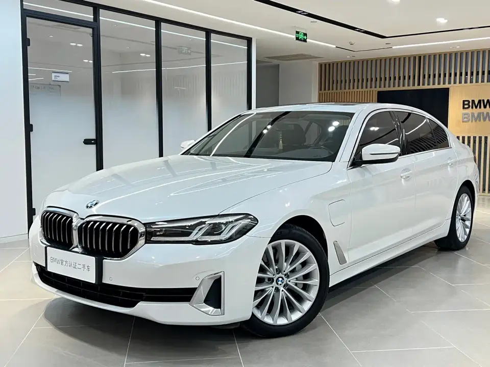 BMW 5 Series New Energy 535Le Luxury Package 2021